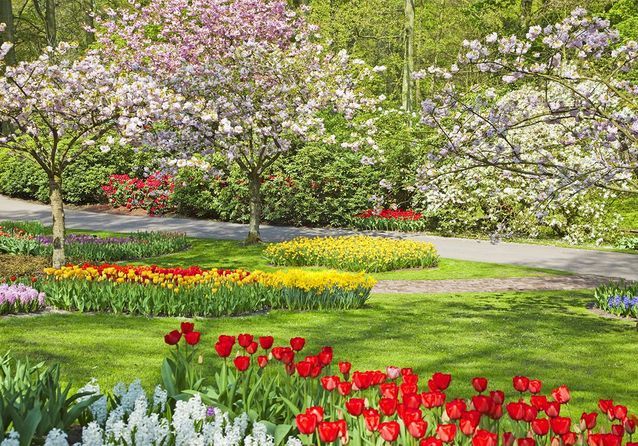 découvrez tout ce qu'il faut savoir sur le printemps immobilier : tendances du marché, conseils d'achat et de vente, et astuces pour réussir votre projet immobilier pendant la saison la plus dynamique de l'année.